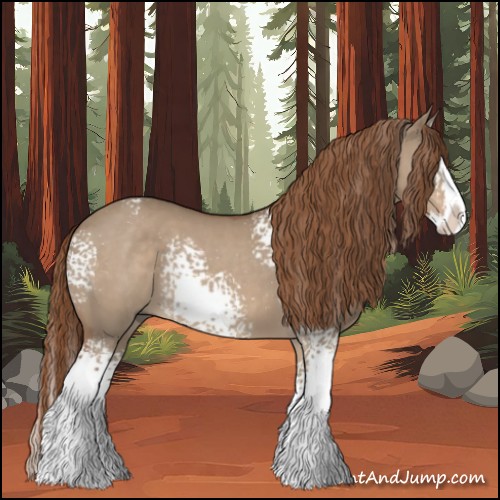 Horse Color:White Spotted Red Dun Splash