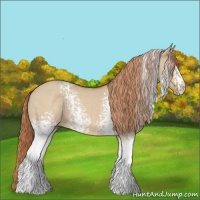 Horse Color:White Spotted Red Dun