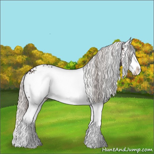 Horse Color:White Spotted Silver Brown Splash 