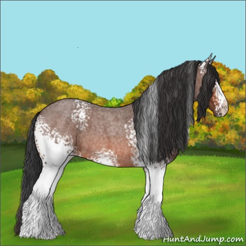 Horse Color:White Spotted Brown Roan 