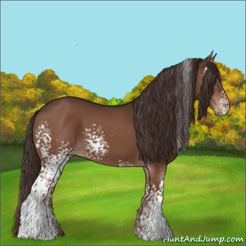 Horse Color:White Spotted Liver Chestnut 