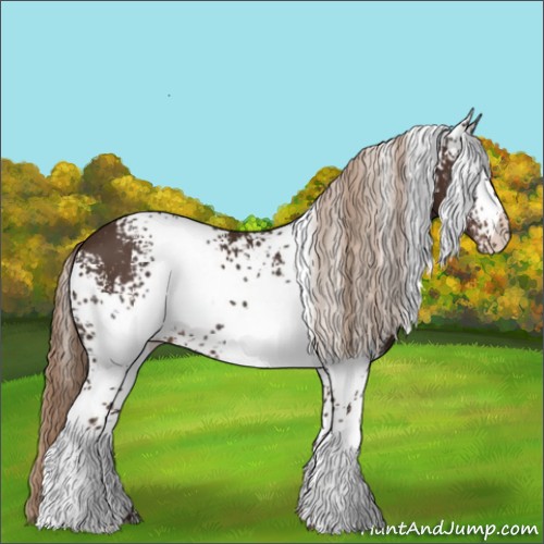 Horse Color:White Spotted Liver Chestnut 