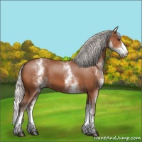 Horse Color:White Spotted Silver Bay Splash 