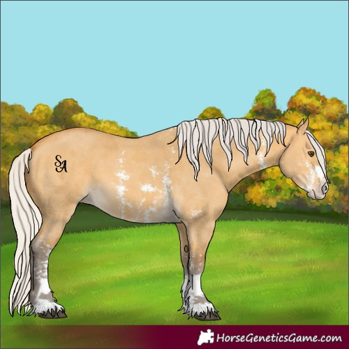 Horse Color:Silver Buckskin Dun Sabino