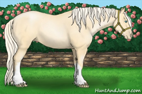 Horse Color:Palomino Pearl