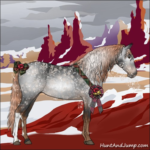 Horse Color:Gray Liver Chestnut