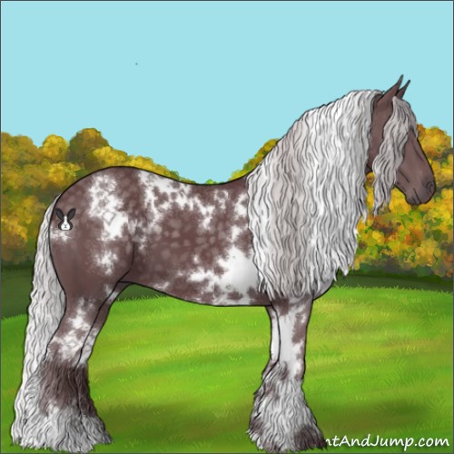 Horse Color:White Spotted Chocolate Silver Black Chinchilla 
