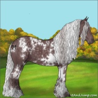 Horse Color:White Spotted Chocolate Silver Black Chinchilla 