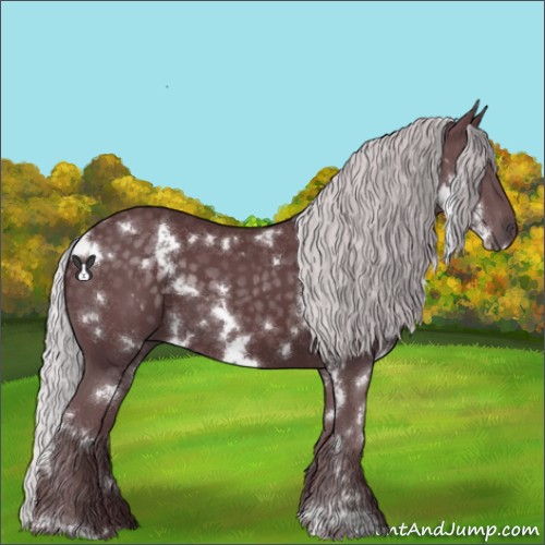 Horse Color:White Spotted Chocolate Silver Black Chinchilla 