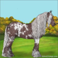 Horse Color:White Spotted Chocolate Silver Black Chinchilla 