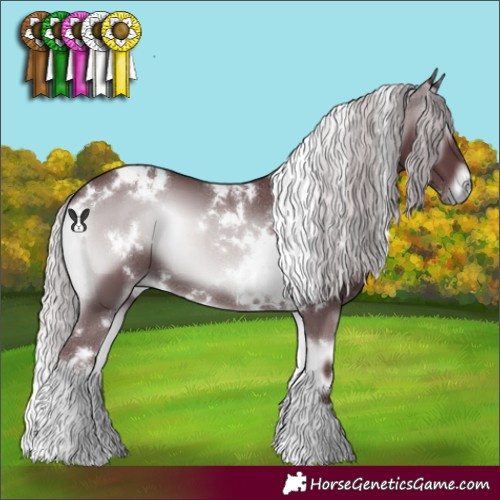 Horse Color:White Spotted Chocolate Silver Blue Onyx Chinchilla