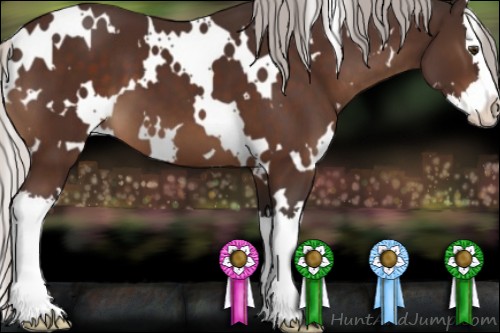 Horse Color:White Spotted Silver Brown Splash