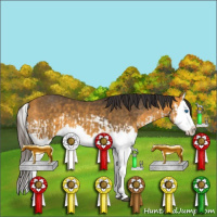 Horse Color:Buckskin Splash  and Buckskin Splash 