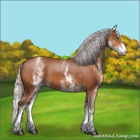 Horse Color:White Spotted Silver Bay Splash 