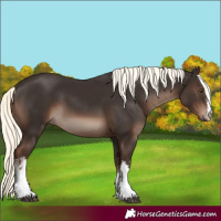 Horse Color:White Spotted Liver Chestnut Mushroom 