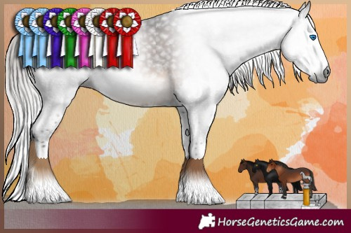 Horse Color:Gray Silver Brown Mushroom Splash Rabicano