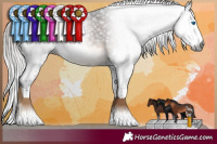 Horse Color:Gray Silver Brown Mushroom Splash Rabicano 