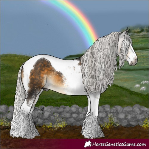 Horse Color:Gray White Spotted Silver Buckskin Splash Tobiano Rabicano