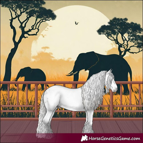 Horse Color:Gray White Spotted Silver Buckskin Rabicano
