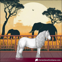 Horse Color:Gray White Spotted Silver Buckskin Rabicano 