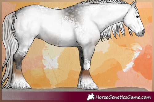 Horse Color:Gray White Spotted Silver Smoky Black Rabicano 