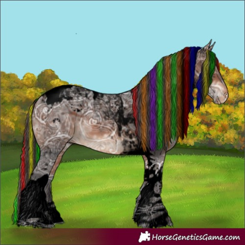 Horse Color:Void Painted Bay Ice Tobiano Appaloosa 