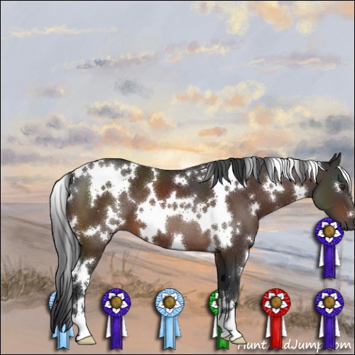 Horse Color:White Spotted Brown