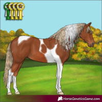 Horse Color:Chestnut Tobiano 