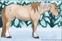 Horse Color:Red Roan Pearl Tobiano Frame 