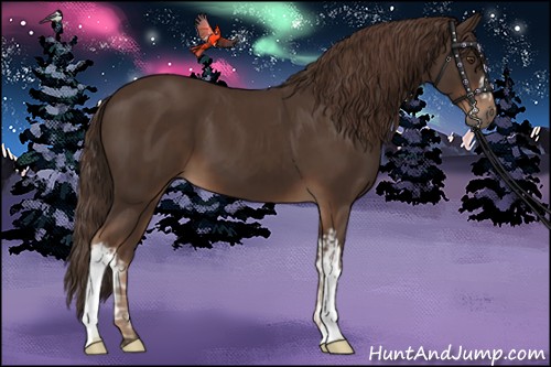 Horse Color:Liver Chestnut  and Liver Chestnut 