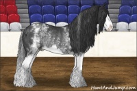 Horse Color:White Spotted Black Sabino Splash Rabicano