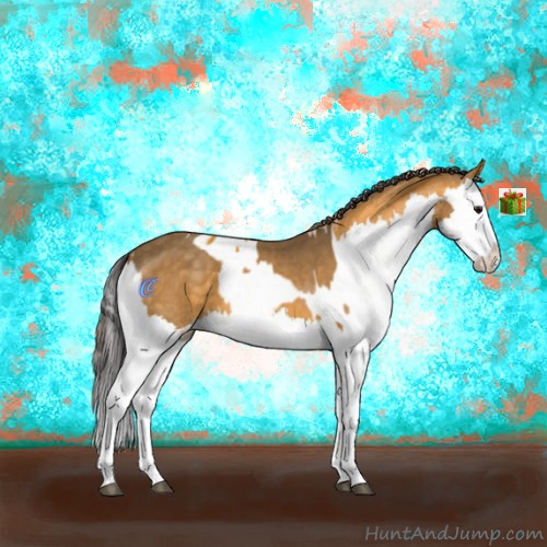 Horse Color:Buckskin Splash  and Buckskin Splash Appaloosa 
