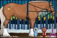 Horse Color:Silver Bay Sabino 