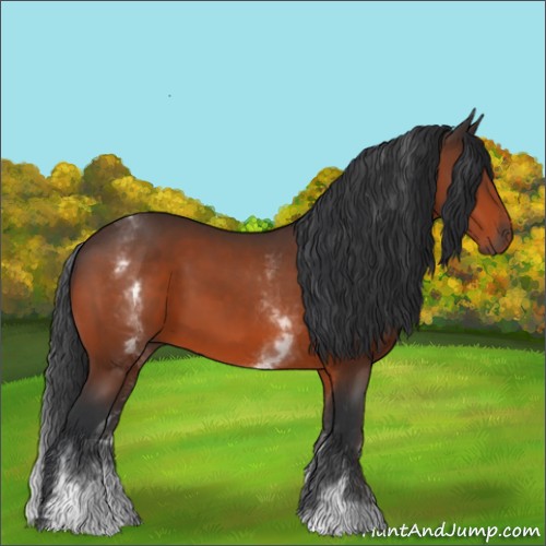 Horse Color:White Spotted Bay 