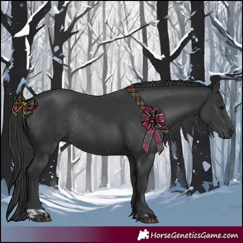 Horse Color:Black and Black Rabicano
