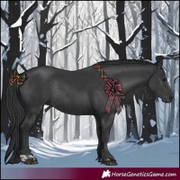 Horse Color:Black and Black Rabicano