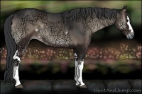 Horse Color:White Spotted Blue Onyx Ice