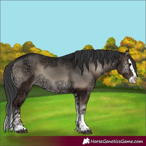 Horse Color:Blue Onyx Ice Splash