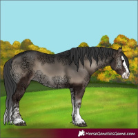 Horse Color:Blue Onyx Ice Splash 