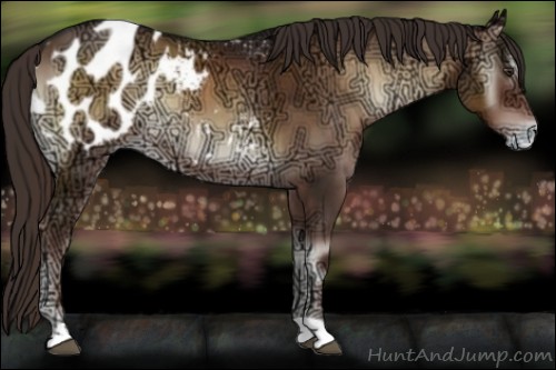 Horse Color:Liver Red Onyx Ice Appaloosa 