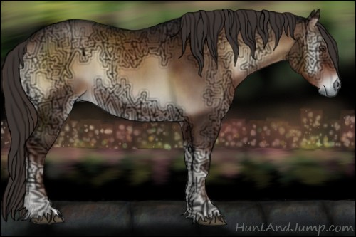 Horse Color:Liver Red Onyx Ice 