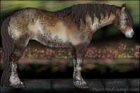 Horse Color:Liver Red Onyx Ice