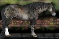 Horse Color:Blue Onyx Ice