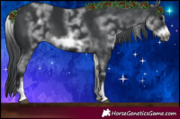 Horse Color:White Spotted Black Sabino Frame