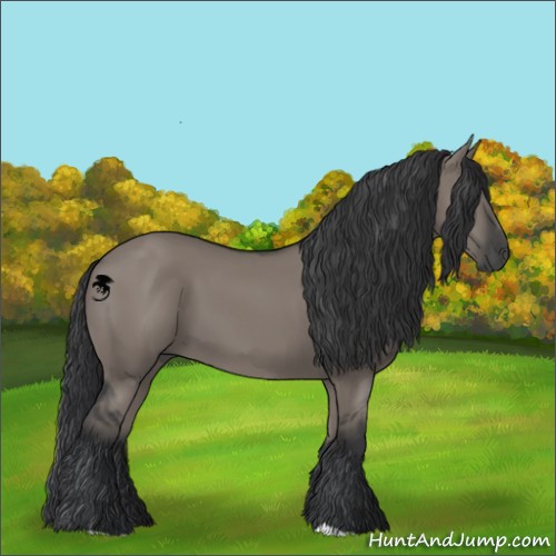 Horse Color:Grullo