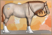 Horse Color:Buckskin Roan Pearl Rabicano
