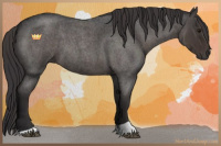 Horse Color:Smoky Blue Roan 