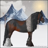 Horse Color:Silver Brown  and Black 
