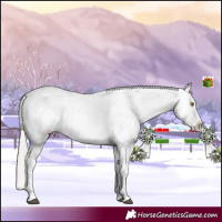 Horse Color:Silver Black Sabino 