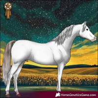 Horse Color:Bay Tobiano Varnish Rabicano 